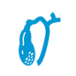 xololithiasi